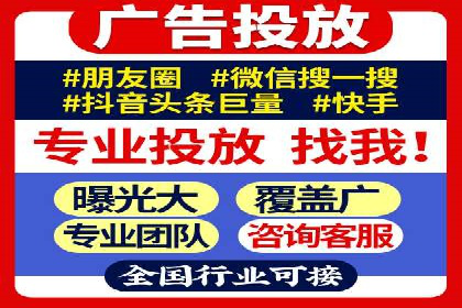 谷歌竞价广告与SEO结合的营销案例解析